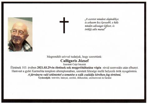 partecedula.jpg partecedula.jpg