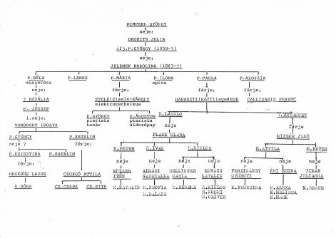 pimperl_csaladfa001.jpg pimperl_csaladfa001.jpg