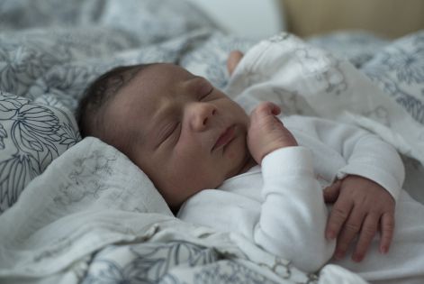 toth_abris_benedek.jpg toth_abris_benedek.jpg